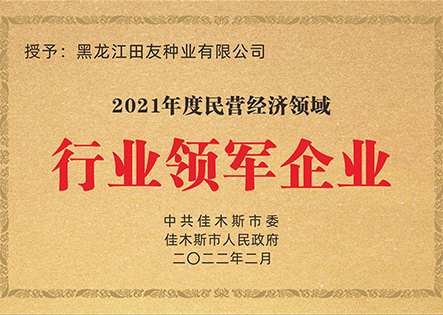 2021年度民营经济领域行业领军企业