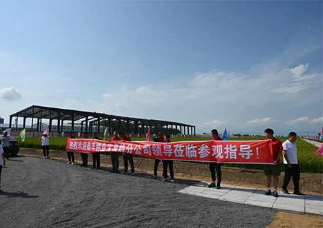 种业创新，共筑绿色梦想