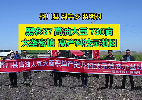 大垄密植——780亩，黑农87播种