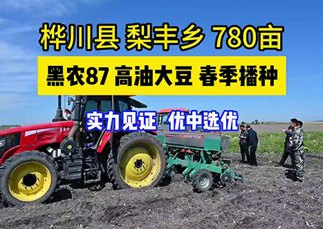 北方区高油大豆品种第二名，黑农87，780亩播种