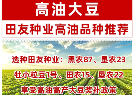 种“田农15”高油大豆良种免费啦！