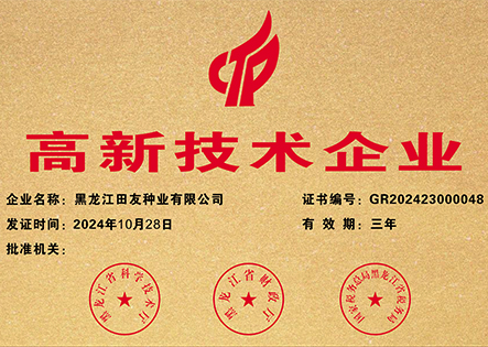高新技术企业