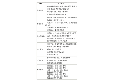 2025年黑龙江省备春耕玉米生产技术指导核心要点