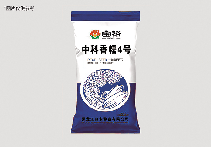 中科香糯4号