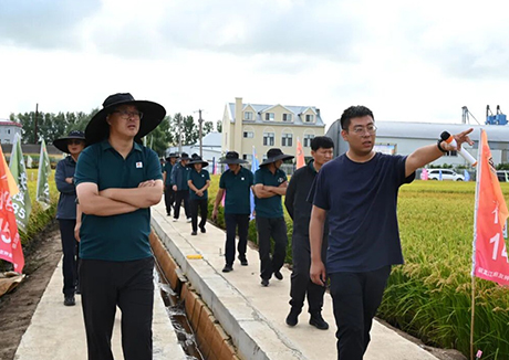 垦丰种业牡丹江分公司一行莅临田友种业考察交流