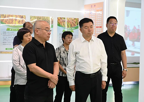 中国农业科学院生物技术研究所王登山所长一行莅临田友种业调研指导